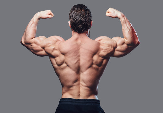 Bodybuilder Back Images – Browse 50,089 Stock Photos, Vectors, and Video | Adobe Stock