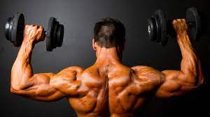 The Best Bodybuilding Shoulder Workout, Customized to Your Experience Level | BarBend