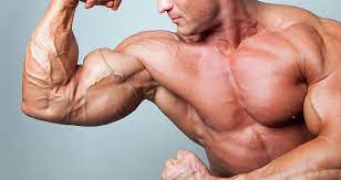 10 Best Biceps in the History of Bodybuilding - Generation Iron
